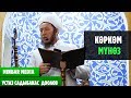 Садыбакас ажы Доолов  ЖУМА БАЯНЫ.ТЕМА: КӨРКӨМ МҮНӨЗ