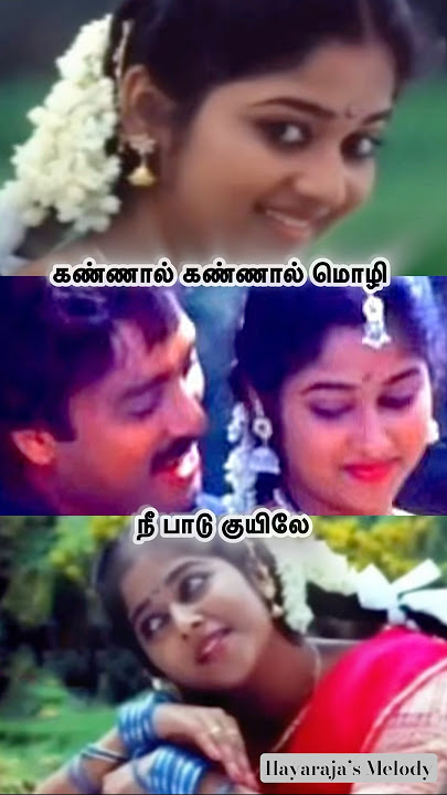 Ennai Thottu Alli Konda ✨#ilayaraja #spb #tamilsong #ilayarajasongs #oldisgoldsongs #viral #trending