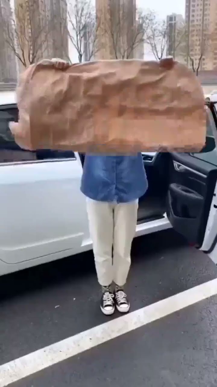 Car Inflatable Travel Camping Detachable Mattress