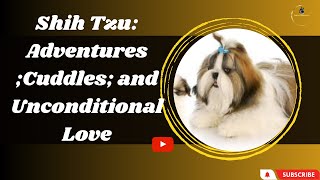 Shih Tzu Serenade: A Glimpse into the Joyful Moments of Life by Animals World 4k 41 views 11 months ago 18 minutes