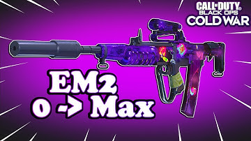 Best LOW LEVEL EM2 Class Setup | Irresistibly BROKEN EM2 in Cold War