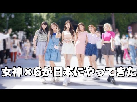[Their Japanese is so cute] IVE's first visit to Japan was way too adorable! [IVE/English Subtitles]