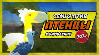 🐤 ПТЕНЦЫ ОБНОВЛЕНИЕ в Семья Птиц Роблокс 2023 🐦Roblox Feather Family Eggs and Offspring Update