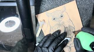 TATTOOING an OWL
