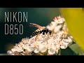 Nikon D850 - Cinematic Slow Motion