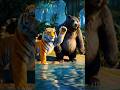 TIGER AND BEAR STORY. #highlights #AI#viralshort