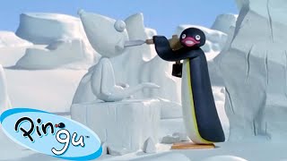 Pingu Tries New Hobbies  | Pingu  Official Channel | Cartoons For Kids