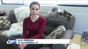 Looking for a temporary or new job? Local grocery stores are hiring