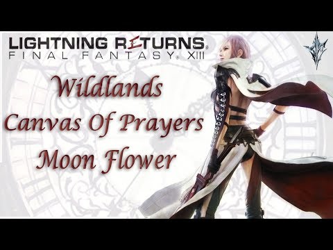 Video: Lyn Vender Tilbage: FF13 Wildlands Lærred Med Bønner, Moonsoul Blomster, Mystisk Måltid, Dagring Blomster, Placering Af Søgenheder