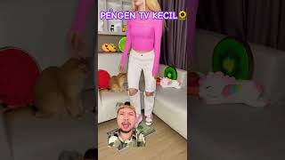 PENGEN TV MINI KECIL #cat #funny #funnycats #shorts