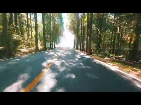 Ada Band - Heaven Of Love Album Trailer