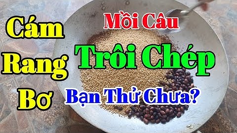 Bài mồi thơm Chuyên Câu Cá Trôi, Chép, Rô Phi, Hiệu Quả - Dễ Làm | Carpbait | Đam Mê Câu Cá