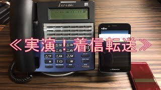 業務効率Up固定電話から携帯電話へ着信転送を実演