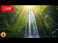 🔴 Relaxing Music with Nature Sounds 24/7, Calming Meditation Music, Study Focus Music, River Sounds