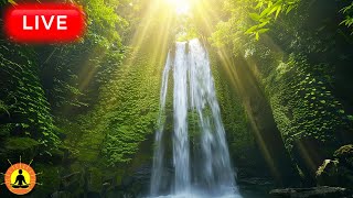 Relaxing Music with Nature Sounds 24/7, Calming Meditation Music, Study Focus Music, River Sounds