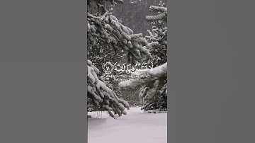 (وجوه يومئذ ناعمة) سورة الغاشية