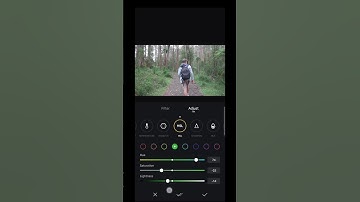 🤯 VN COLOR GRADING TUTORIAL || VN APP . #VN #shortvideo  #viral #edit