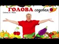 Голова садовая - Как вырастить лучшую свеклу