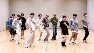 SEVENTEEN World Mirrored Dance Practice