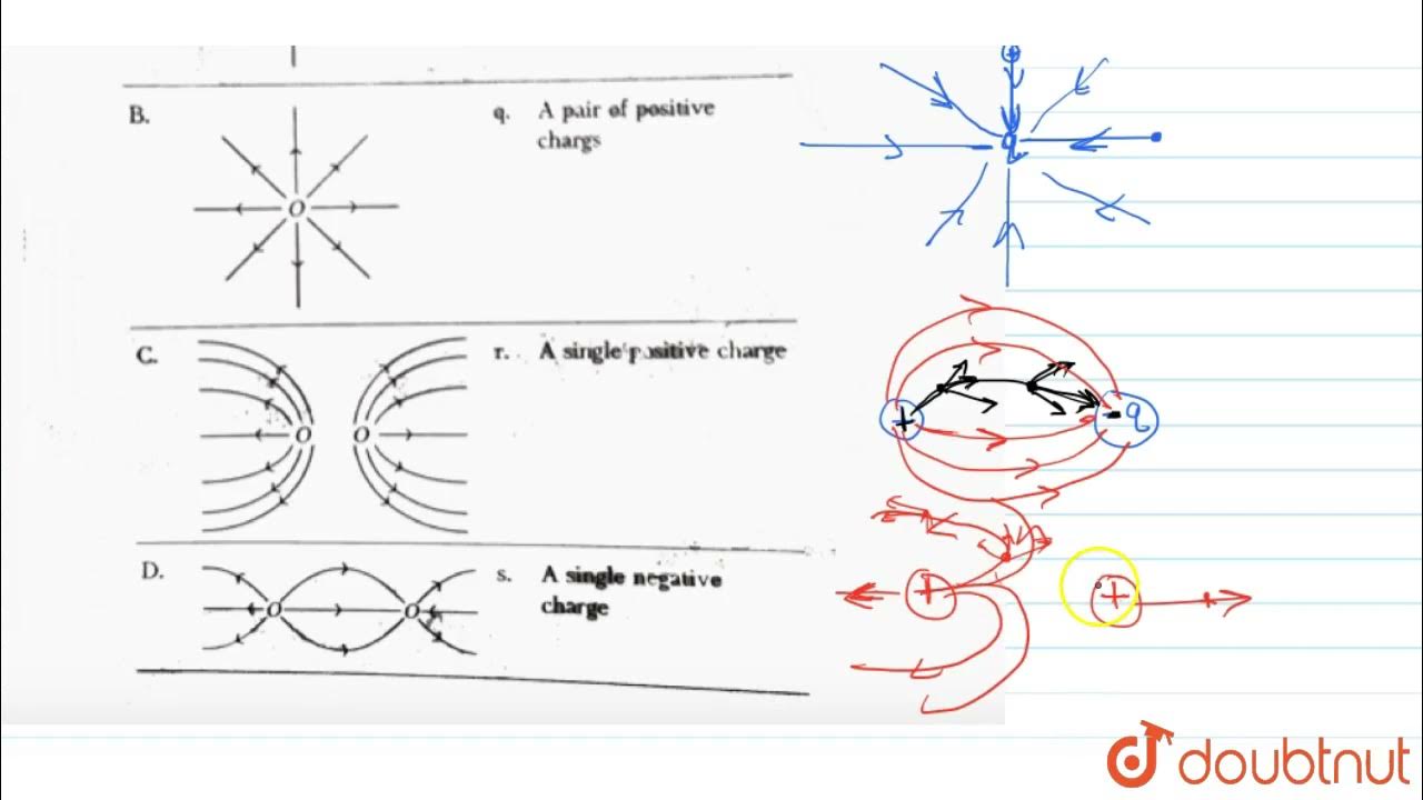 Match the field lines given in Column I with charge configuration due