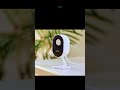 Top 5 Best Outdoor Security Cameras 2024