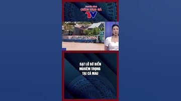 Tỉnh Cà Mau: vừa công bố tình huống khẩn cấp sạt lở với 6 đoạn bờ biển tổng chiều dài hơn 29000m