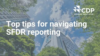 Top tips for navigating SFDR Reporting