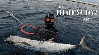 PELAGIC DAY🎯 | Halos umapaw ang sisidlan sa dami ng BIYAYA🙌#spearfishingPhilippines #supportlocal