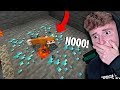 THIS HAPPENED TO MY MINECRAFT FOX.. (Crying)
