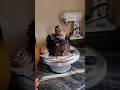 Easy Fancy Choco-Oreo Cupcake #viralshorts #dance #explore
