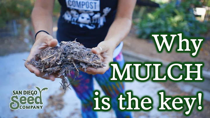 What 5 Years of Using Mulch Has Done for Our Garden