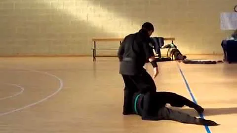 Shidoshikai Bari 2014 Shidoshi Luigi Di Santo