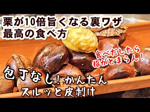 かんたんに栗が10倍美味くなる！蒸し焼き甘栗🌰皮もぽろっと剥ける 包丁なし使わない！
