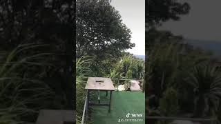 27 ตุลาคม 2562