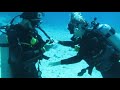 Pedida bajo el agua / Underwater marriage proposal