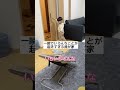 情報量が多すぎる家族の日常