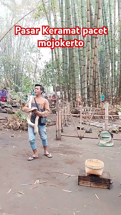 pasar tradisional #liriklagu #cover #lagu #shots