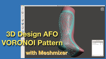 3D Design AFO with Voronoi pattern