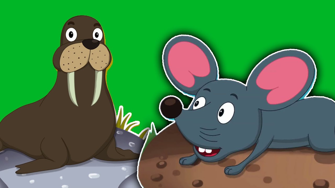 Animale di sound canzone | Cartoon per i bambini | video didattico