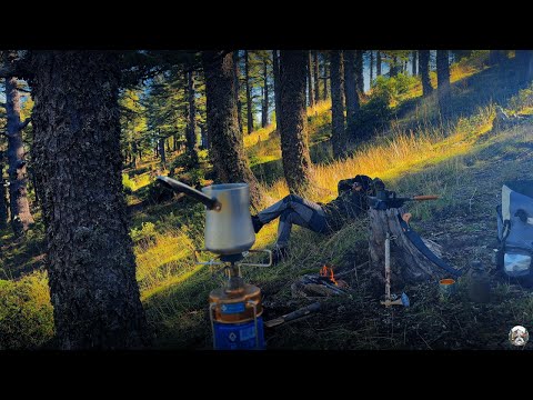 No tent, No