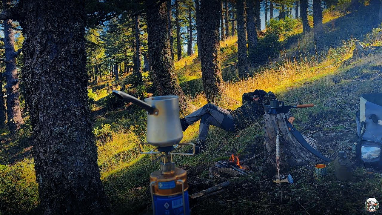 No tent, No sleeping bag - Extreme Winter Survival Camping 🏕️ - YouTube