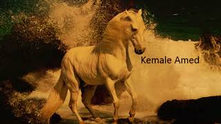 Kemale Amed Navete Ser Dilemin 2025