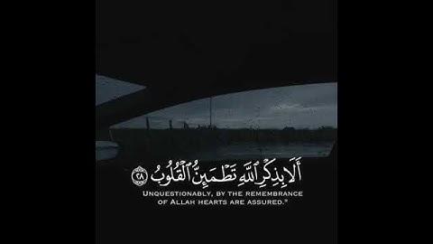 الذين امنوا وتطمئن قلوبهم بذكر الله ماهر المعيقلي سورة الرعد حالات واتس اب دينيه 😍