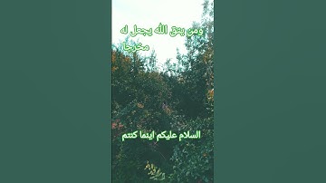 القرآن الكريم/سورة الصافات القارئ الحاج عامر الكاظمي/اللهم صل وسلم على نبينا محمد