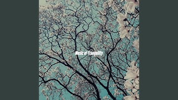 High-class Backdrops for Summer Changes