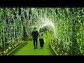 Ashikaga Flower Park【Christmas Lights】2018 #あしかがフラワーパーク #4K