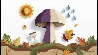 15. Laccaria amethystina - October 15, 2025