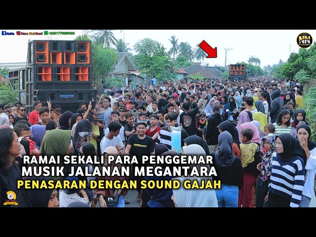 PARA PENGGEMAR MUSIK JALANAN MEGANTARA PENASARAN DENGAN SOUND GAJAH class=