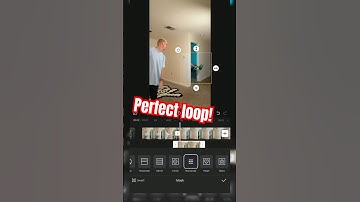 How I made this PERFECT LOOP in CAPCUT #tutorial #fallintoshorts