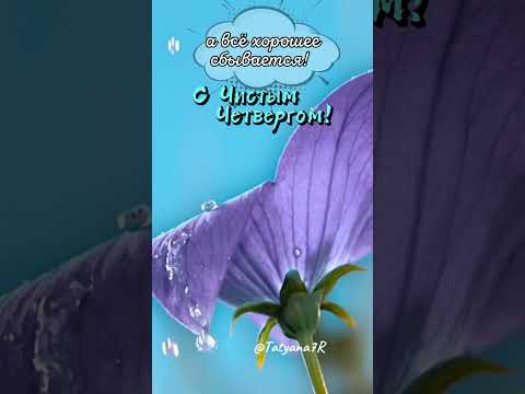 Доброе утро! С ЧИСТЫМ ЧЕТВЕРГОМ! ( музыкальная открытка) 17 апреля. #shorts #